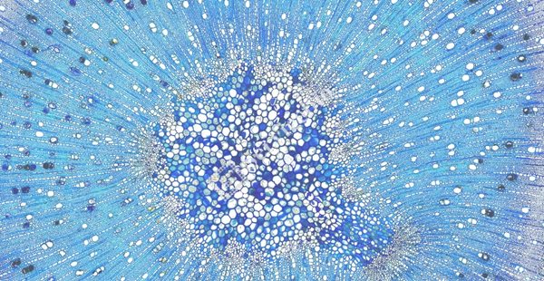 图片 5.jpg
